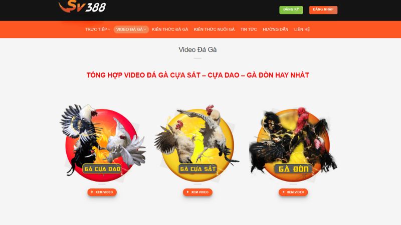 Giới thiệu trang Web Dagassv388 