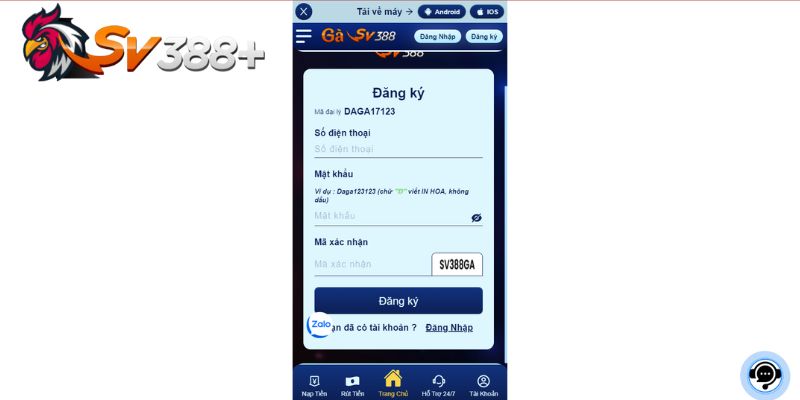 Cách tham gia cược đá gà kiếm lời cho tân thủ tại ga247