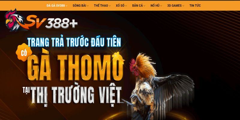 Giới thiệu về trang daga247